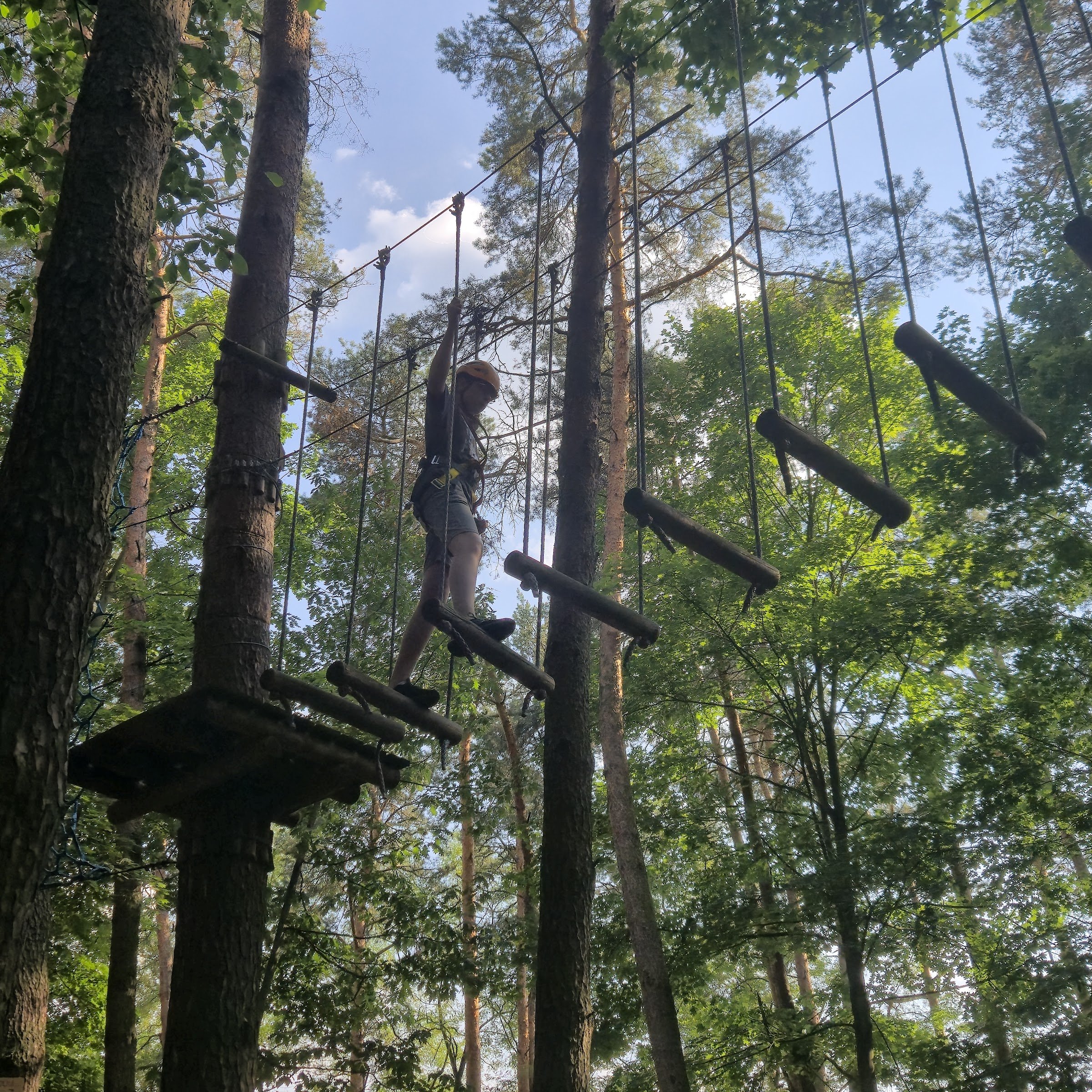 Treetops pathway (Ścieżka w koronach drzew, Dolina Wkry)